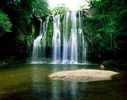 Mocht u op zoek zijn naar het paradijs op aarde, het hof van Eden bestaat, haar naam: Costa Rica!
